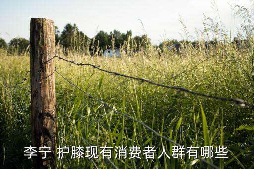 李寧 護膝現(xiàn)有消費者人群有哪些