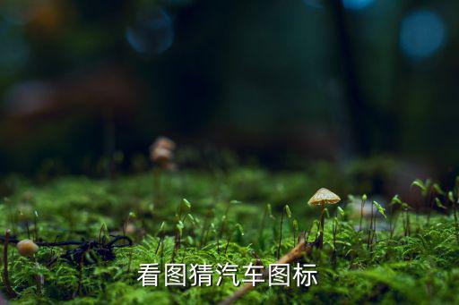 圖片猜車(chē)識(shí)別,掃一掃看車(chē)名和車(chē)型