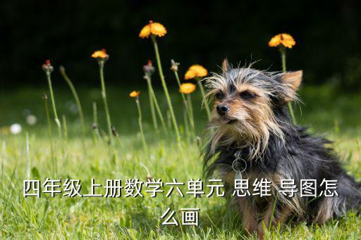 野營(yíng)計(jì)劃思維導(dǎo)圖,英語(yǔ)旅行計(jì)劃思維導(dǎo)圖