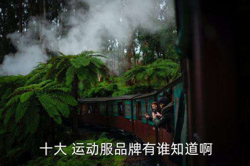 運(yùn)動(dòng)服十大名牌標(biāo)志圖片1,國產(chǎn)運(yùn)動(dòng)服十大名牌標(biāo)志