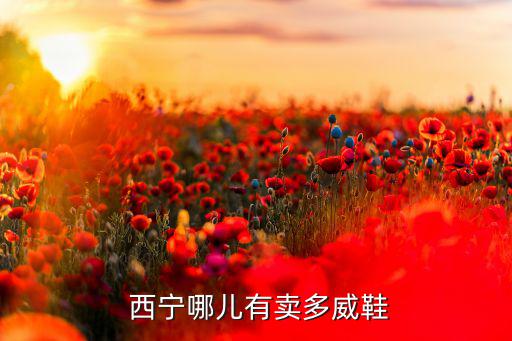 西寧體育用品有哪些店面,西寧長(zhǎng)跑商貿(mào)有限公司申請(qǐng)注冊(cè)成立