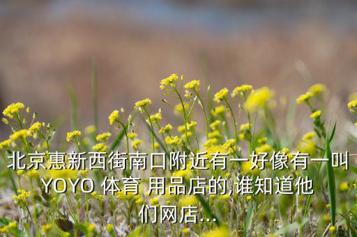 北京惠新西街南口附近有一好像有一叫YOYO 體育 用品店的,誰知道他們網(wǎng)店...