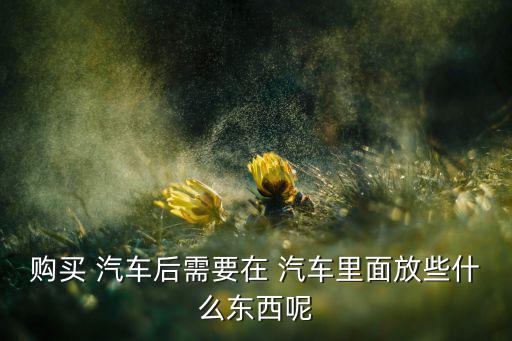 新汽車(chē)內(nèi)飾需要買(mǎi)什么,你可以在汽車(chē)內(nèi)放一些雜物和一塊香皂