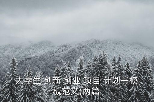 大學生 創(chuàng)新 創(chuàng)業(yè) 項目 計劃書模板范文(兩篇