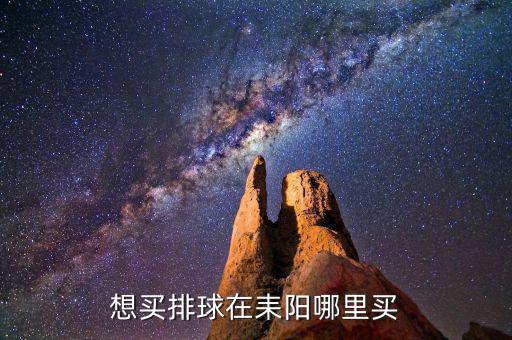 想買排球在耒陽哪里買