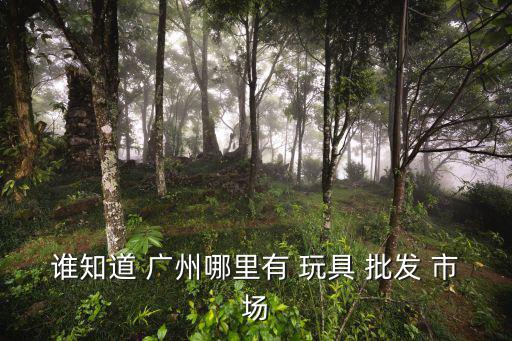 廣州玩具批發(fā)市場(chǎng)