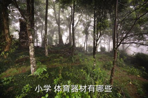 小學 體育器材有哪些
