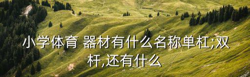 小學體育運動器材有哪些,小學一年級體育運動有哪些項目