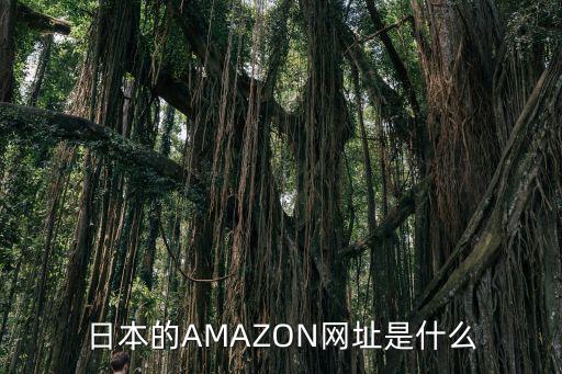 日本的AMAZON網(wǎng)址是什么