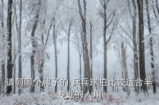 乒乓球拍哪個牌子好,小學(xué)生乒乓球拍哪個牌子好