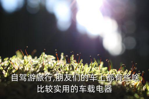 自駕游旅行,朋友們的車上都有些啥比較實用的車載電器