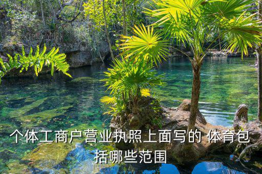 體育用品什么項目類型,優(yōu)能體育用品項目是真是假