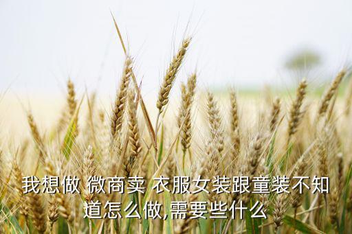 我想做 微商賣 衣服女裝跟童裝不知道怎么做,需要些什么