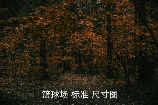  籃球場 標準 尺寸圖