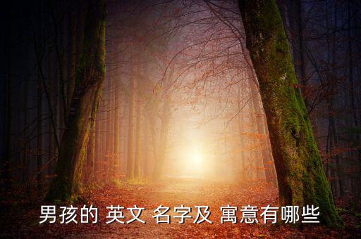 男孩的 英文 名字及 寓意有哪些