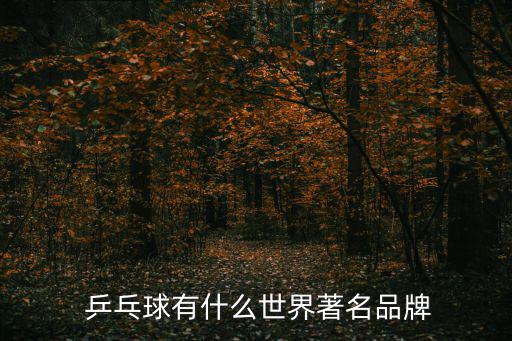 國產(chǎn)乒乓球哪個牌子好,乒乓球哪個牌子性價比高