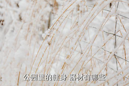 廣場(chǎng)體育器材圖片及名稱,農(nóng)村廣場(chǎng)體育器材有哪些名稱