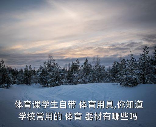  體育課學生自帶 體育用具,你知道學校常用的 體育 器材有哪些嗎