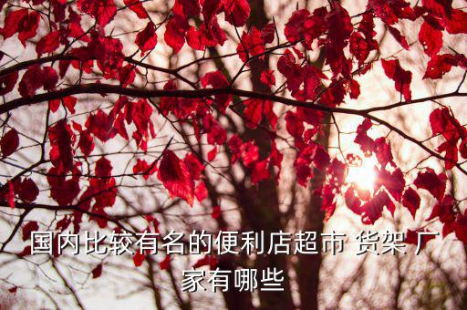 國內(nèi)比較有名的便利店超市 貨架 廠家有哪些