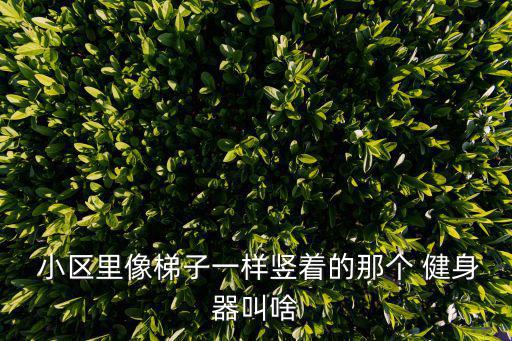  小區(qū)里像梯子一樣豎著的那個(gè) 健身器叫啥
