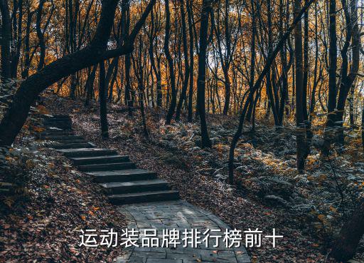 體育用品款式有哪些品牌,國內運動品牌的體育用品有哪些