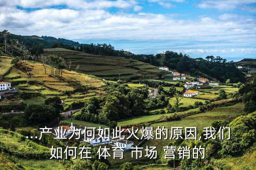 體育市場(chǎng)營(yíng)銷(xiāo)分析報(bào)告,拼多多市場(chǎng)營(yíng)銷(xiāo)分析報(bào)告
