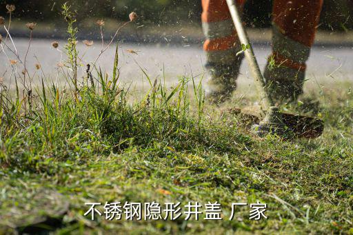 不銹鋼隱形井蓋 廠(chǎng)家