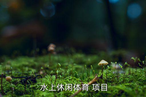  水上休閑體育 項目