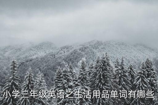 小學三年級英語之生活用品單詞有哪些
