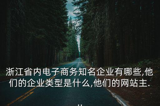 浙江省內(nèi)電子商務(wù)知名企業(yè)有哪些,他們的企業(yè)類型是什么,他們的網(wǎng)站主...