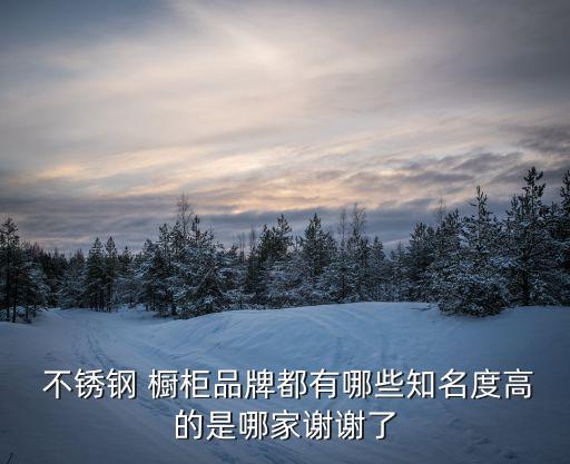 找不銹鋼櫥柜生產(chǎn)廠家,不銹鋼櫥柜生產(chǎn)廠家有哪些比較好
