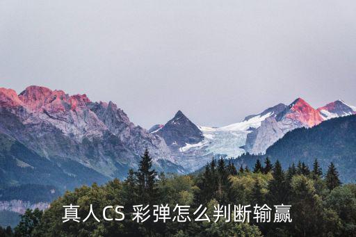 彩彈cs,彩彈CS對戰(zhàn)游戲松江