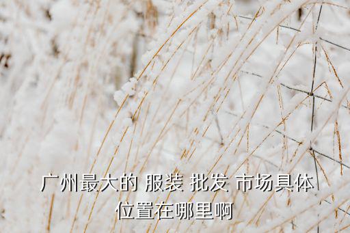  廣州最大的 服裝 批發(fā) 市場(chǎng)具體位置在哪里啊