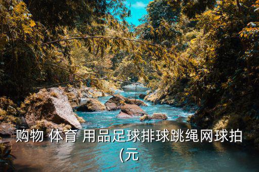 購(gòu)物 體育 用品足球排球跳繩網(wǎng)球拍(元