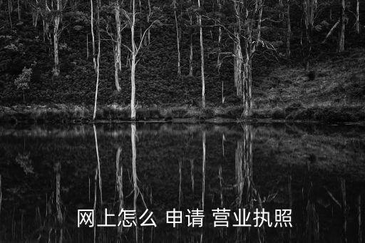  網上怎么 申請 營業(yè)執(zhí)照