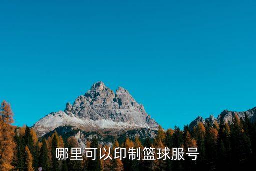 哪里可以印制籃球服號
