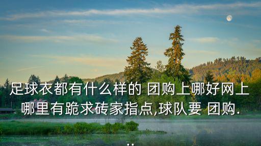 足球衣都有什么樣的 團(tuán)購上哪好網(wǎng)上哪里有跪求磚家指點(diǎn),球隊(duì)要 團(tuán)購...