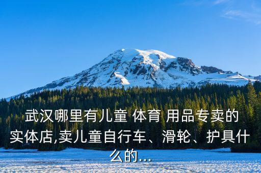  武漢哪里有兒童 體育 用品專賣的實體店,賣兒童自行車、滑輪、護具什么的...