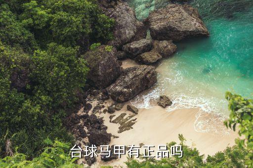 臺(tái)球馬甲有正品嗎