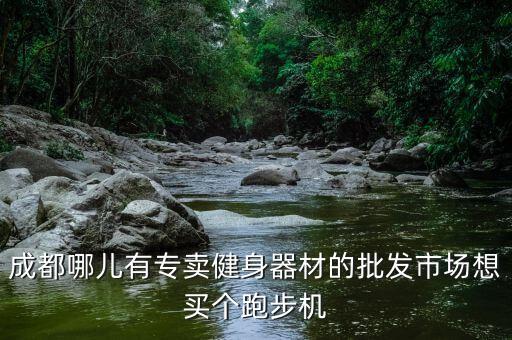 成都哪兒有專賣健身器材的批發(fā)市場想買個跑步機
