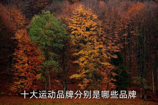 十大運(yùn)動(dòng)品牌分別是哪些品牌