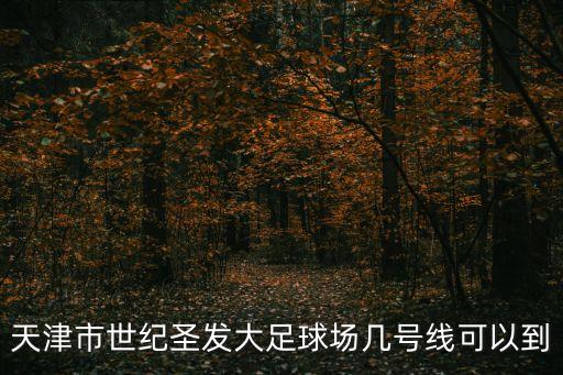天津市世紀(jì)圣發(fā)大足球場幾號線可以到