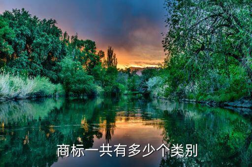 體育用品是多少類商標,商標體育用品屬于第幾類