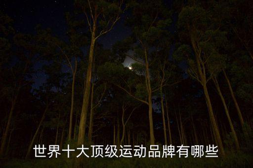 世界十大頂級(jí)運(yùn)動(dòng)品牌有哪些