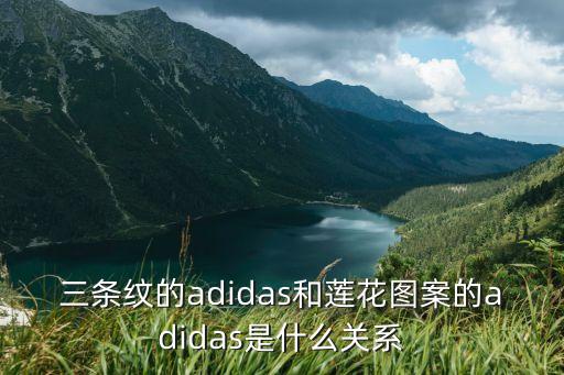 三條紋的adidas和蓮花圖案的adidas是什么關(guān)系