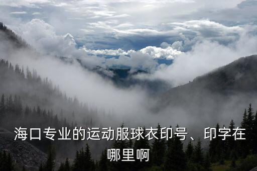  ?？趯I(yè)的運動服球衣印號、印字在哪里啊