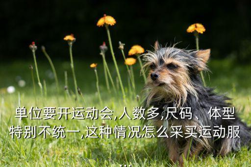 單位要開運(yùn)動(dòng)會(huì),人數(shù)多,尺碼、體型特別不統(tǒng)一,這種情況怎么采買運(yùn)動(dòng)服...