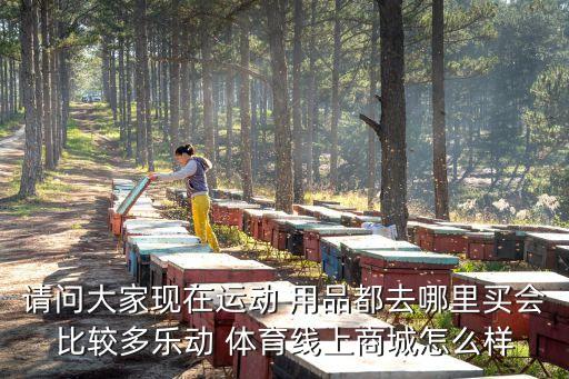 請(qǐng)問(wèn)大家現(xiàn)在運(yùn)動(dòng) 用品都去哪里買會(huì)比較多樂(lè)動(dòng) 體育線上商城怎么樣