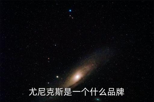 尤尼克斯是一個什么品牌