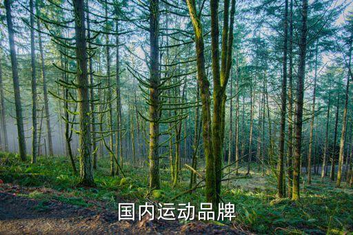 國內(nèi)運動品牌
